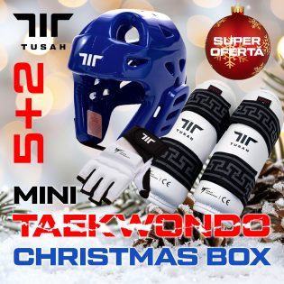 Mini Christmas Box