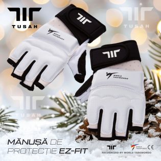 Mănușă Taekwondo - World Taekwondo Approved Gloves